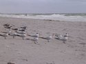 DSCN1610.jpg
